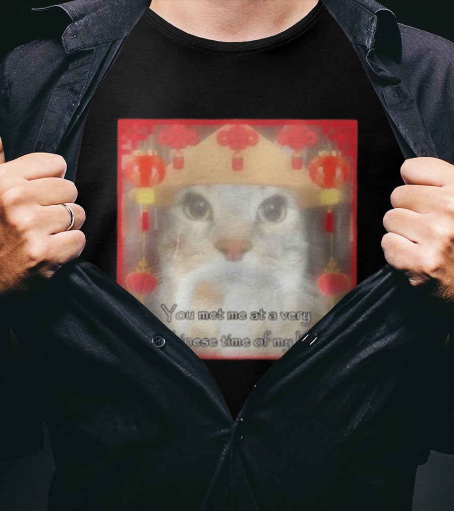 You Met Me At A Very Chinese Time Of My Life Cat Lanterns Hat T-Shirt
