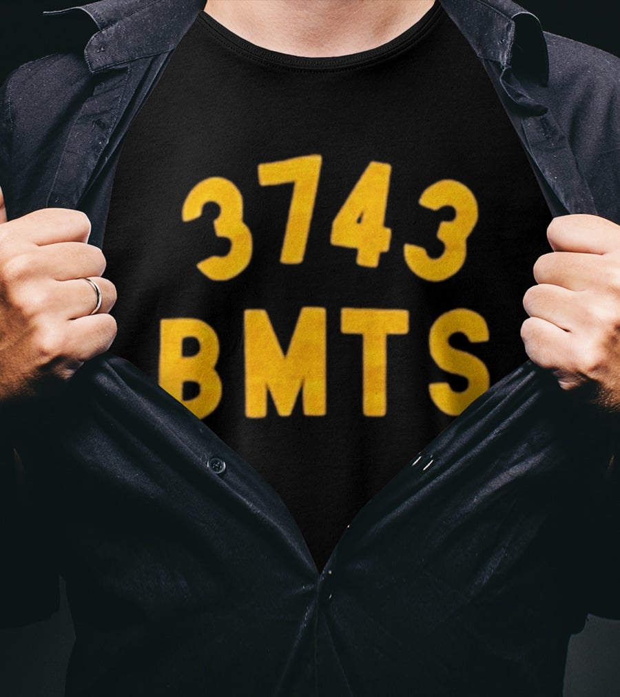 Barn Owl Seattle 3743 BMTS T-Shirt