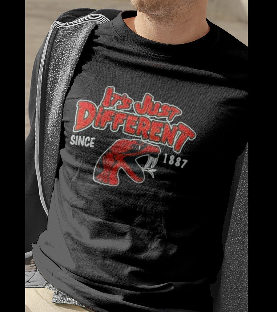 Florida A&M Rattlers It's Just Different Since 1887 T-Shirt