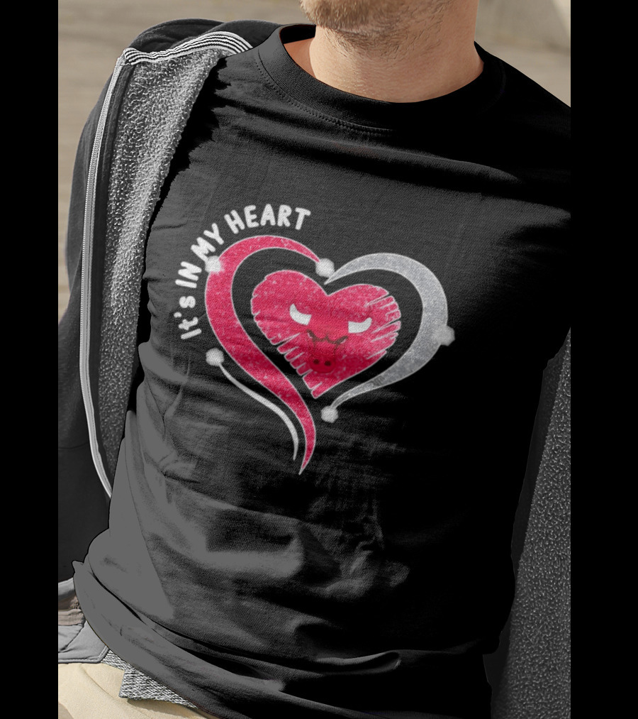 Chicago Bulls It's In My Heart Basketball NBA 2026 T-Shirt