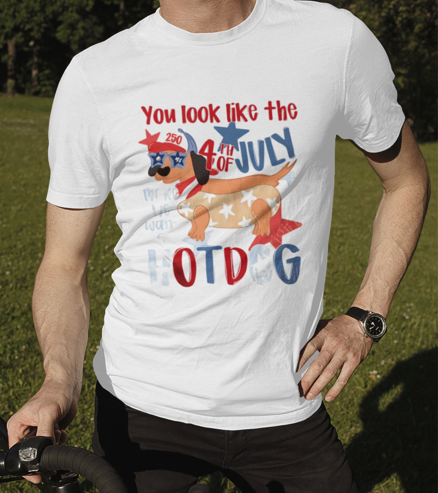 You Look Like The 4th Of July Make Me Want A Hotdog 2020 Dog Star Hat T-Shirt