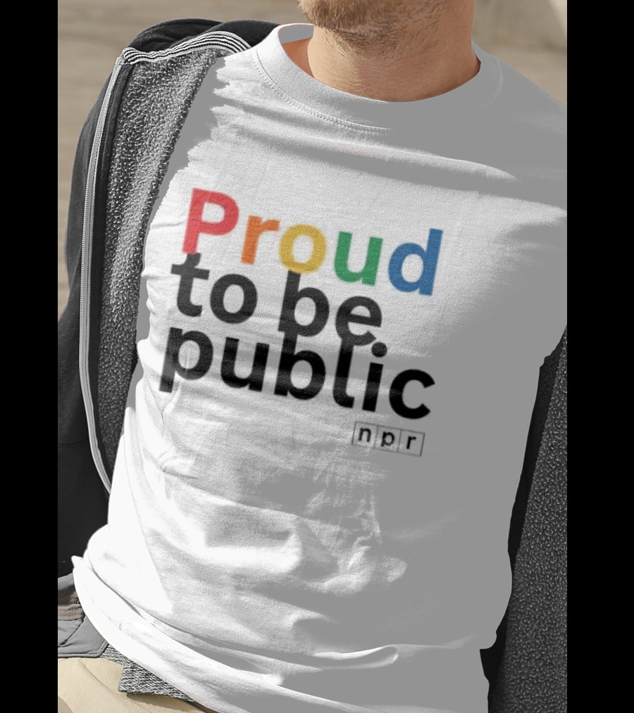 Proud To Be Public Colorful Pride T-Shirt