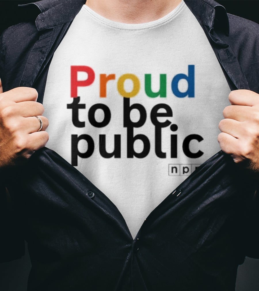Proud To Be Public Colorful Pride T-Shirt