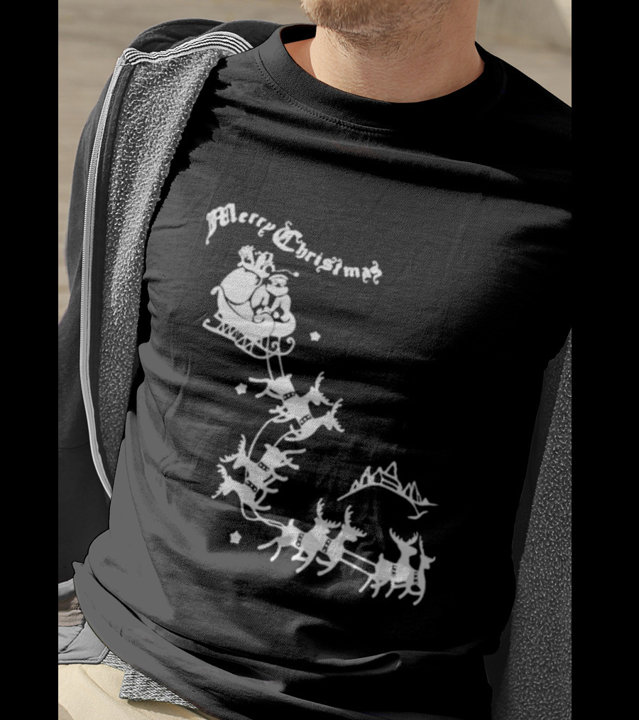 Merry Christmas Santa Sleigh Reindeer In Night Sky With Mountains Isla Gordon T-Shirt