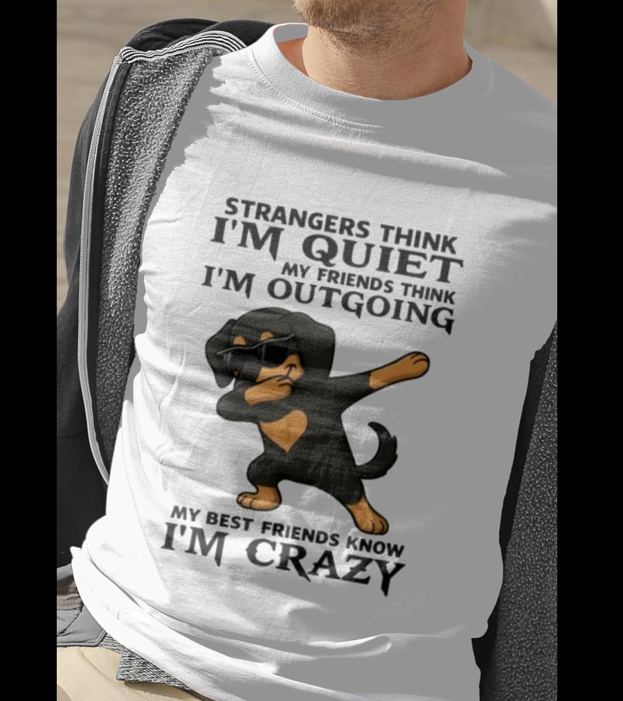 Strangers Think I'm Quiet Friends Think I'm Outgoing Best Friends Know I'm Crazy Dabbing Dachshund T-Shirt