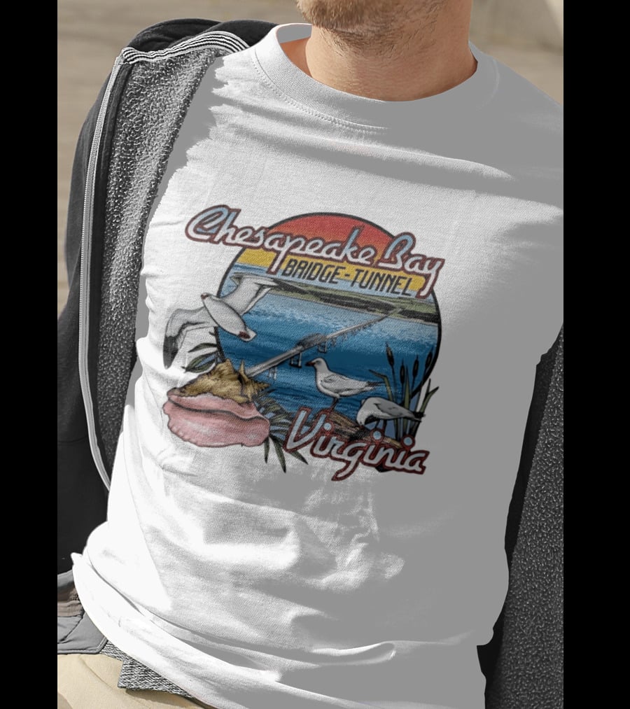 Chesapeake Bay Bridge Tunnel Virginia Seagulls Sunset Scene T-Shirt