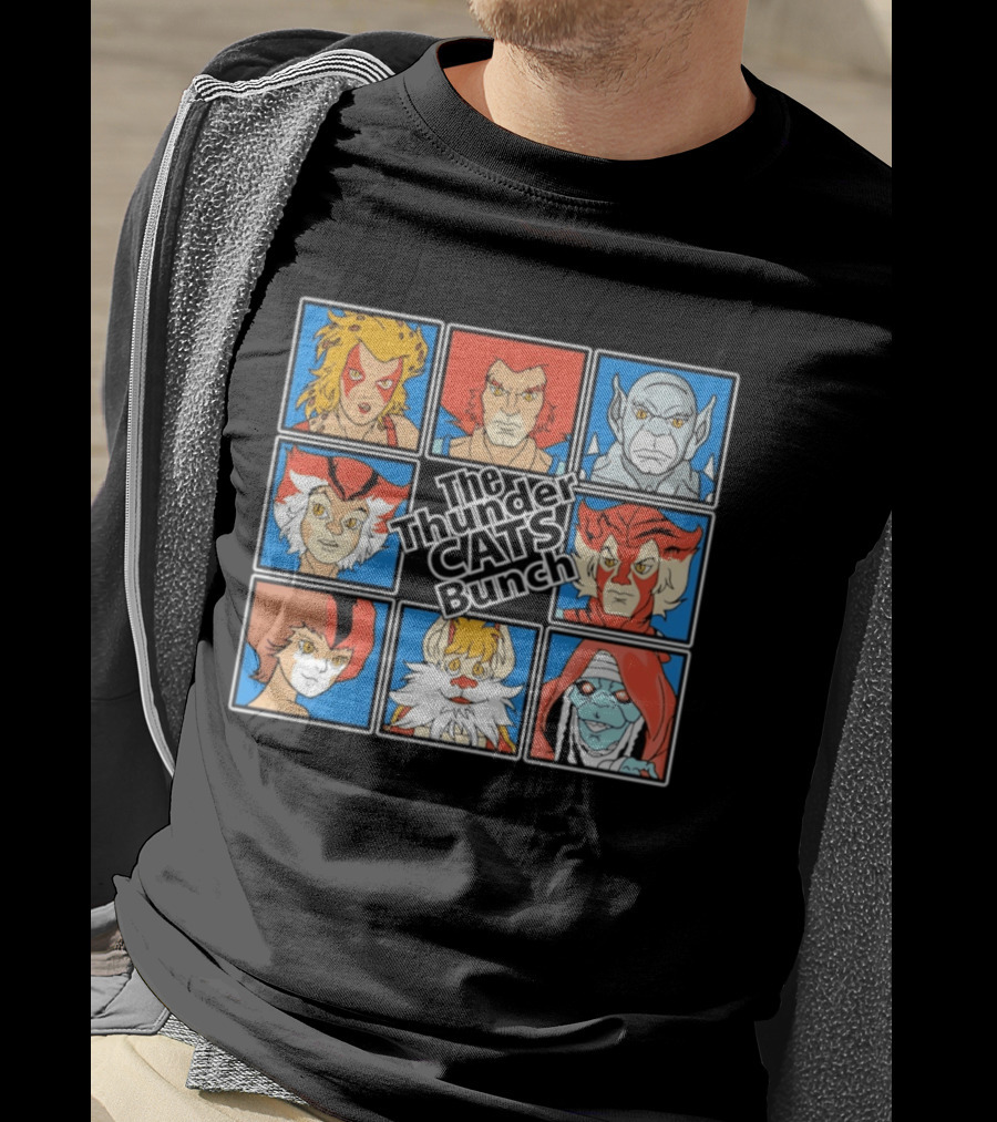 The ThunderCats Bunch Characters Classic Cartoon Collaboration T-Shirt