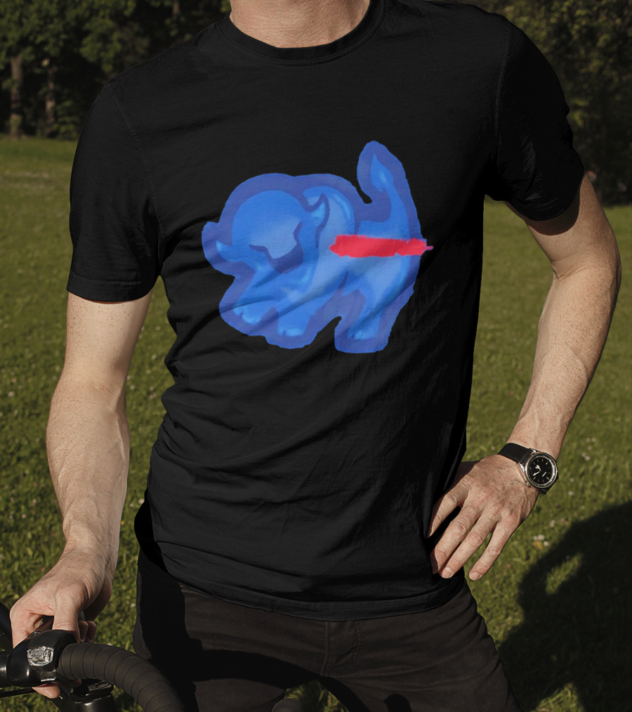 Bison King Buffalo Bills 2026 Football Team Spirit T-Shirt