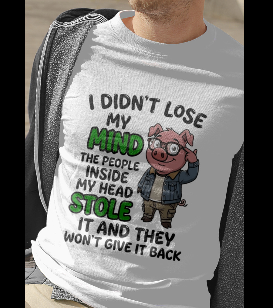 I Didn't Lose My Mind Funny Pig Cartoon People Inside My Head Stole It And They Won't Give It Back T-Shirt