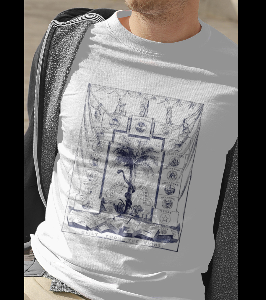 Southern Republic Built From The Ruins South Carolina Georgia Florida Palm Tree T-Shirt