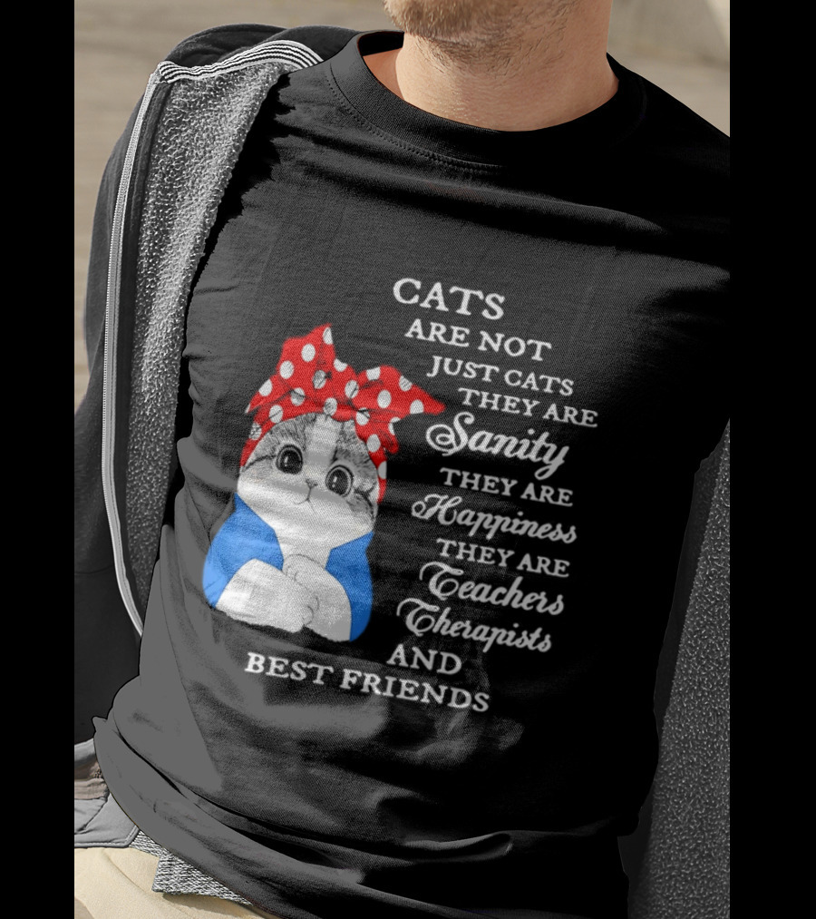 Cats Are Not Just Cats They Are Sanity Happiness Teachers Therapists Best Friends T-Shirt