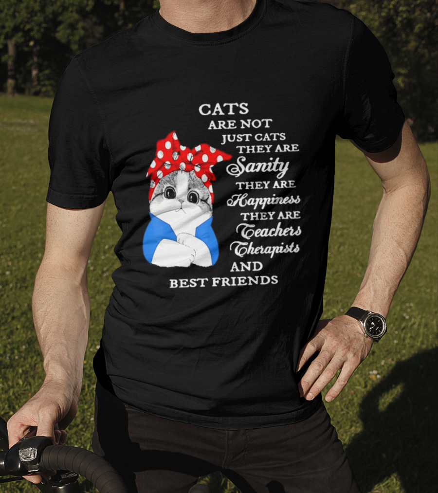 Cats Are Not Just Cats They Are Sanity Happiness Teachers Therapists Best Friends T-Shirt