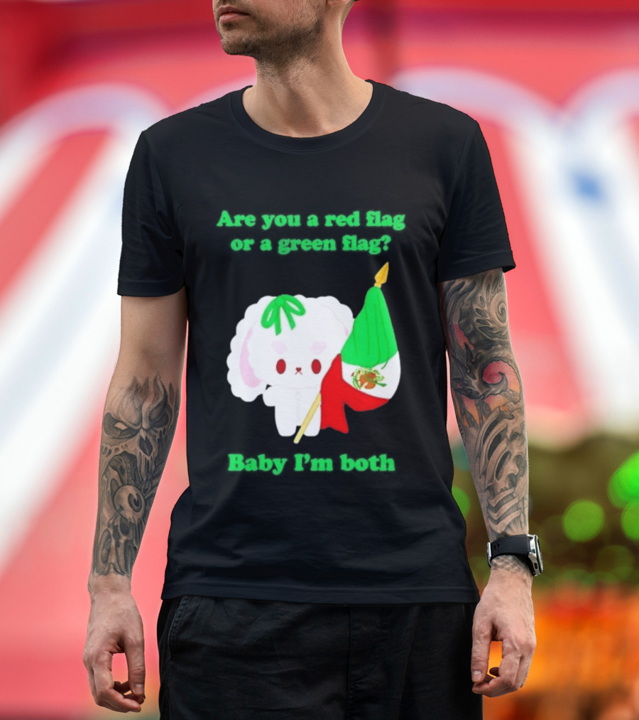 Nonomochi Mexico Flag Are You A Red Flag Or A Green Flag Cute Bunny Holding Mexican Flag T-Shirt