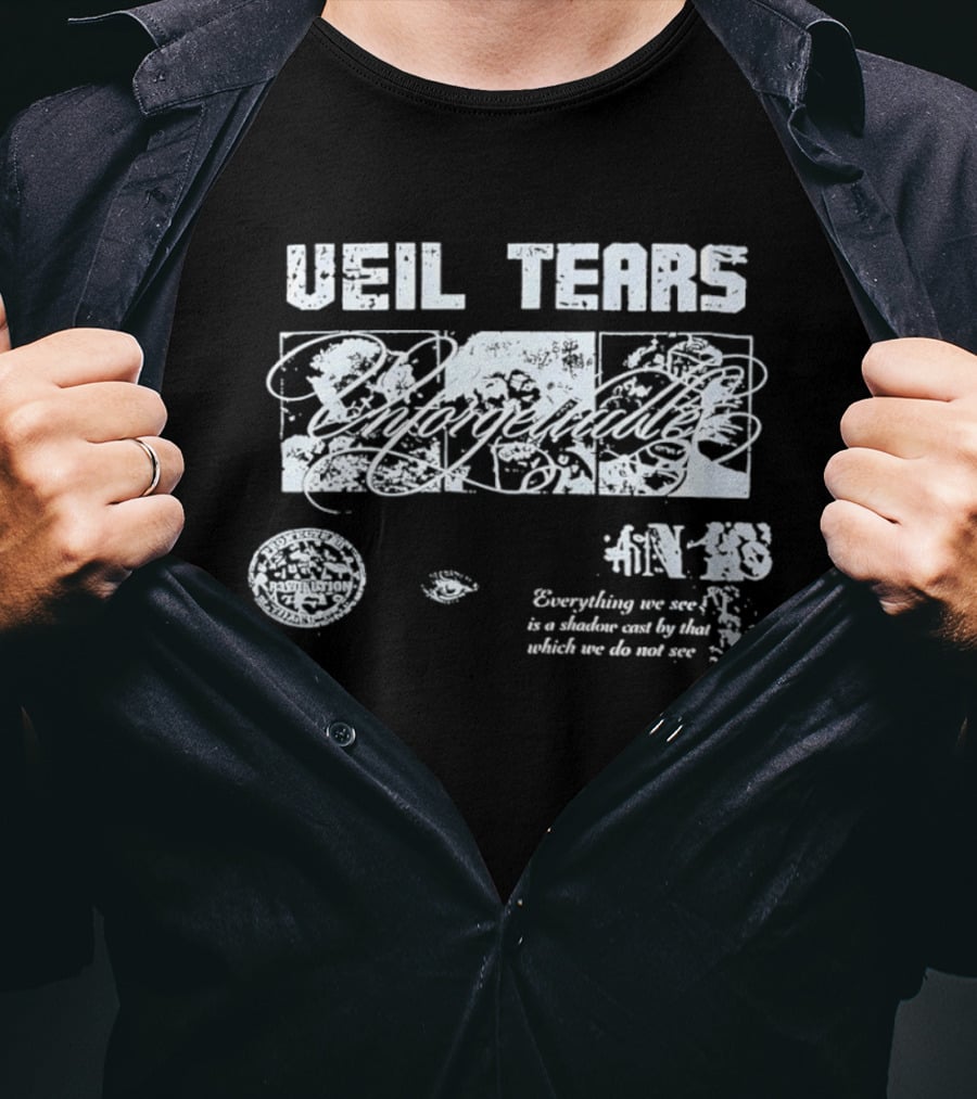 Veil Tears Unforgettable Everything We See Is A Shadow Cast By That Which We Do Not See T-Shirt