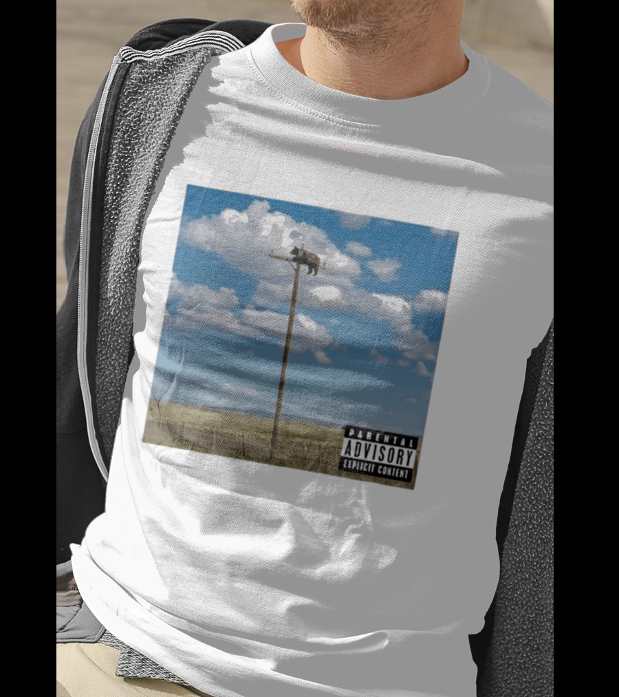 Bear On Top Of The Light Pole Parental Advisory Explicit Content Clouds Sky T-Shirt