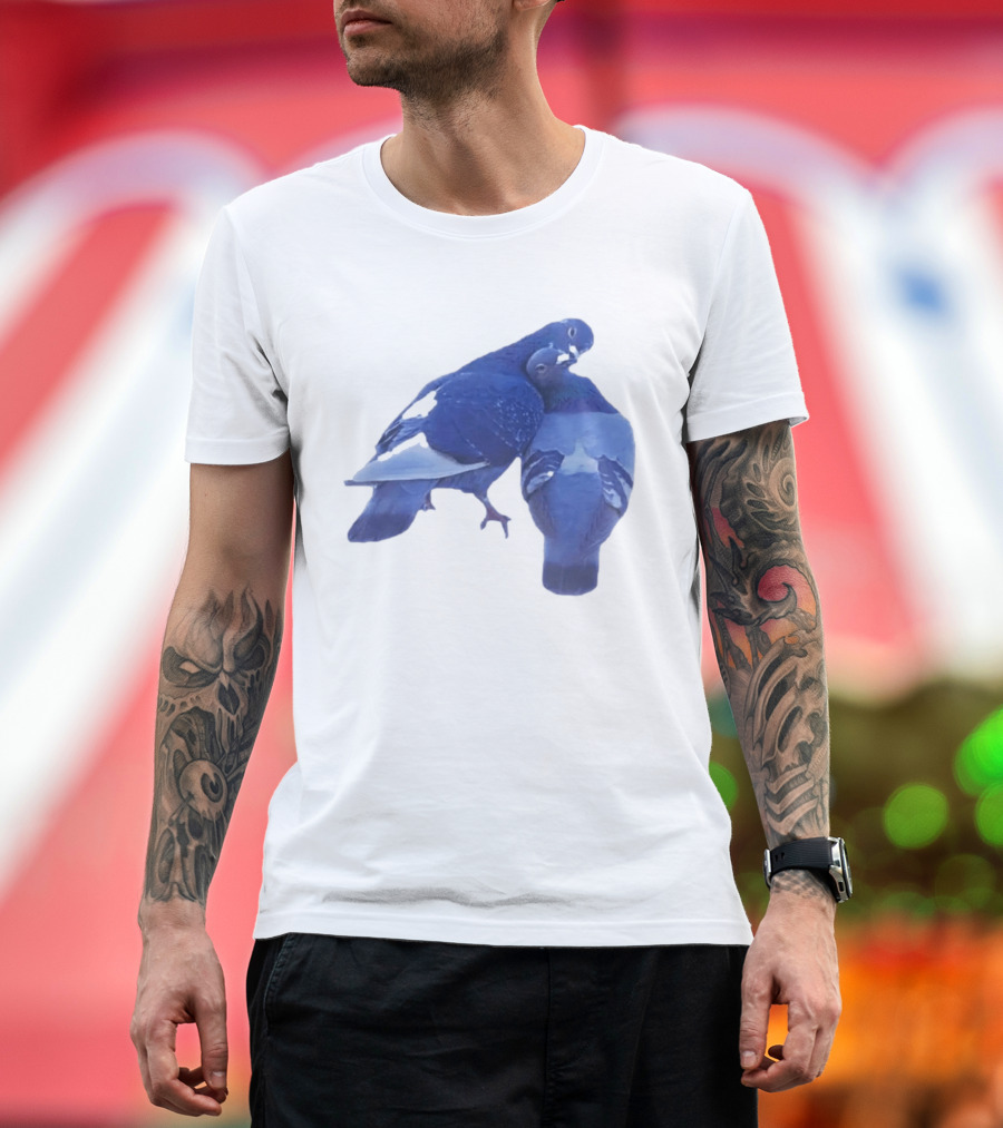 Love Doves Sports Banger Blue Pigeons Embrace T-Shirt