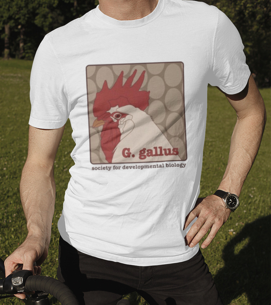 G Gallus Society For Developmental Biology Chicken Rooster Oval T-Shirt
