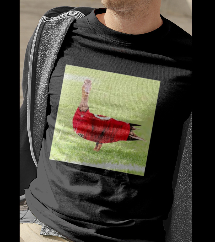 Tampa Bay Buccaneers Duck 2026 Football Fan T-Shirt