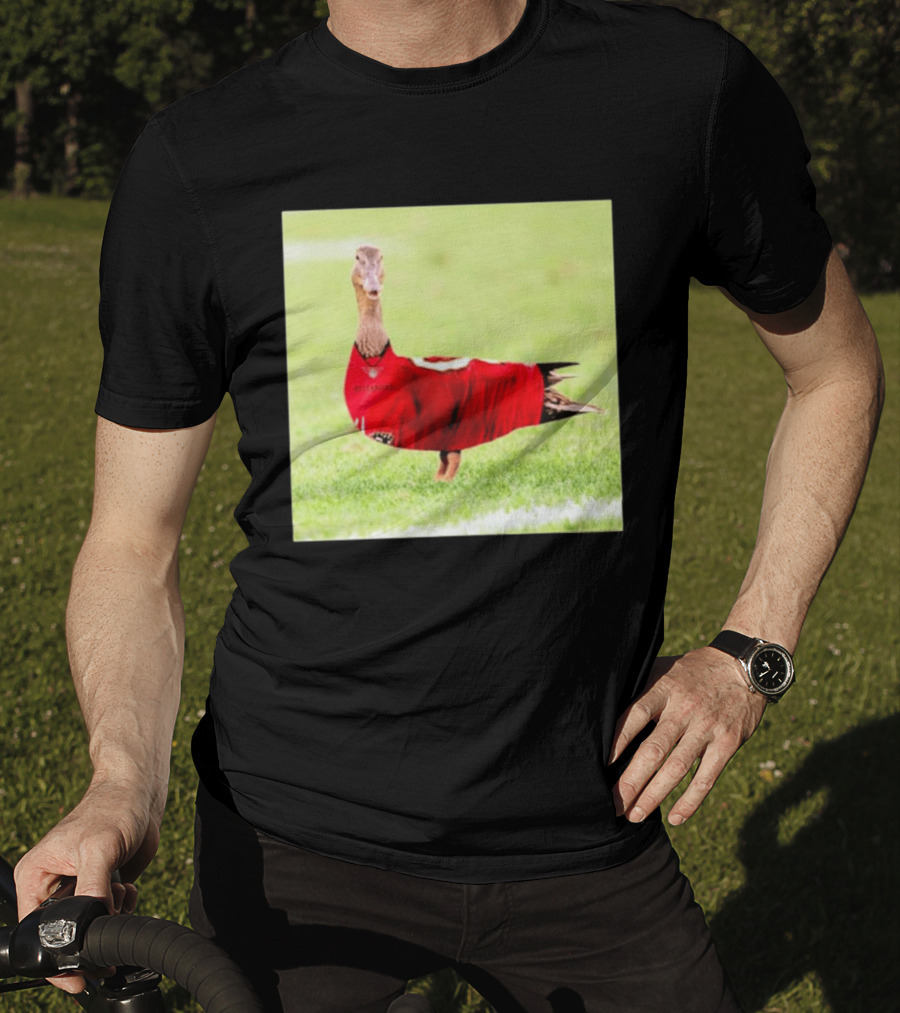 Tampa Bay Buccaneers Duck 2026 Football Fan T-Shirt