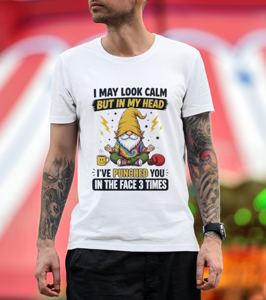 Gnome I May Look Calm But In My Head I've Punched You In The Face 3 Times T-Shirt