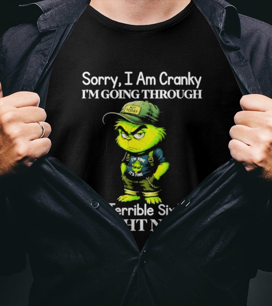 Sorry I Am Cranky I'm Going Through My Terrible Sixties Right Now T-Shirt