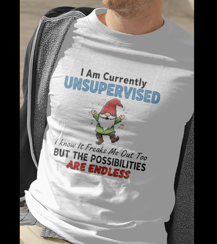 Unsupervised Gnome Christmas Possibilities Endless Fun T-Shirt