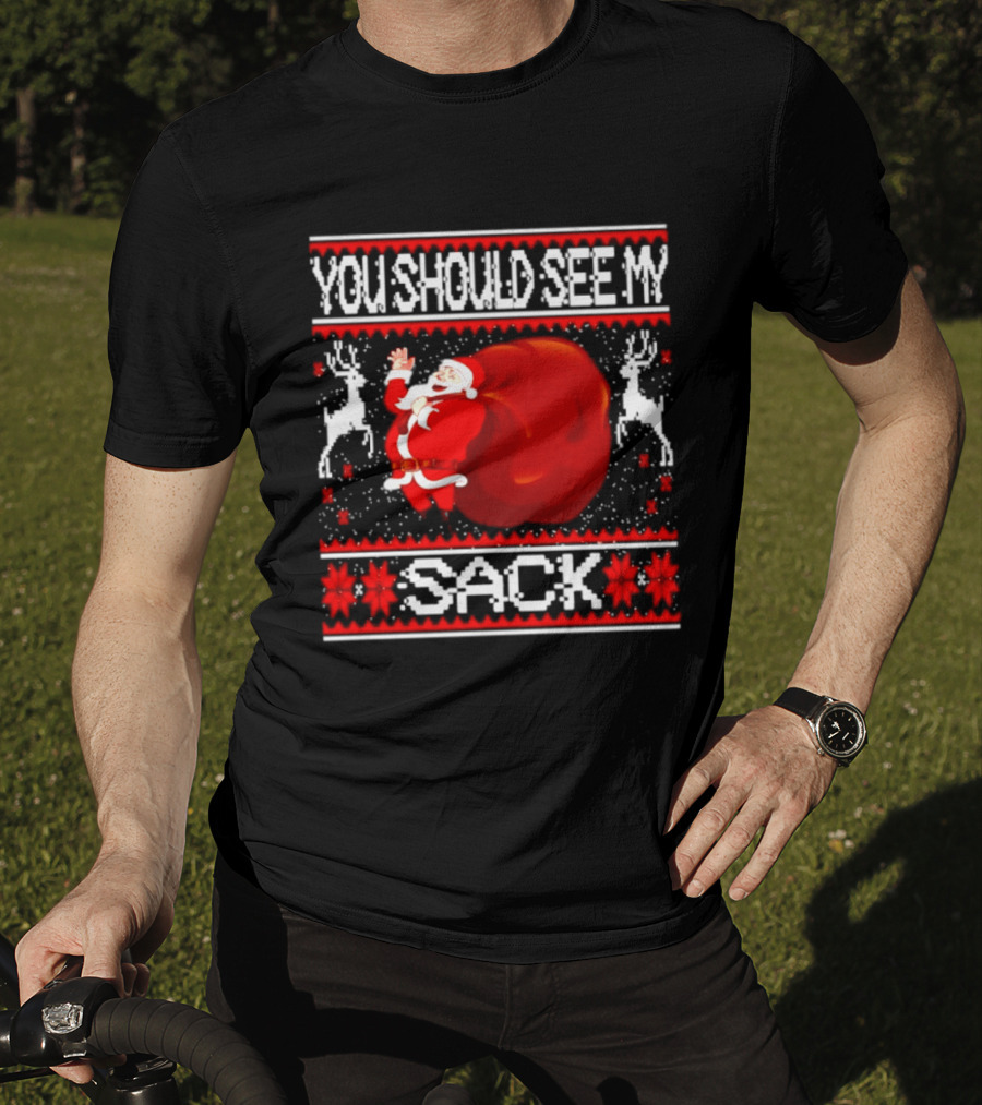 You Should See My Sack Santa Claus Ugly Christmas Reindeer Snowflakes T-Shirt