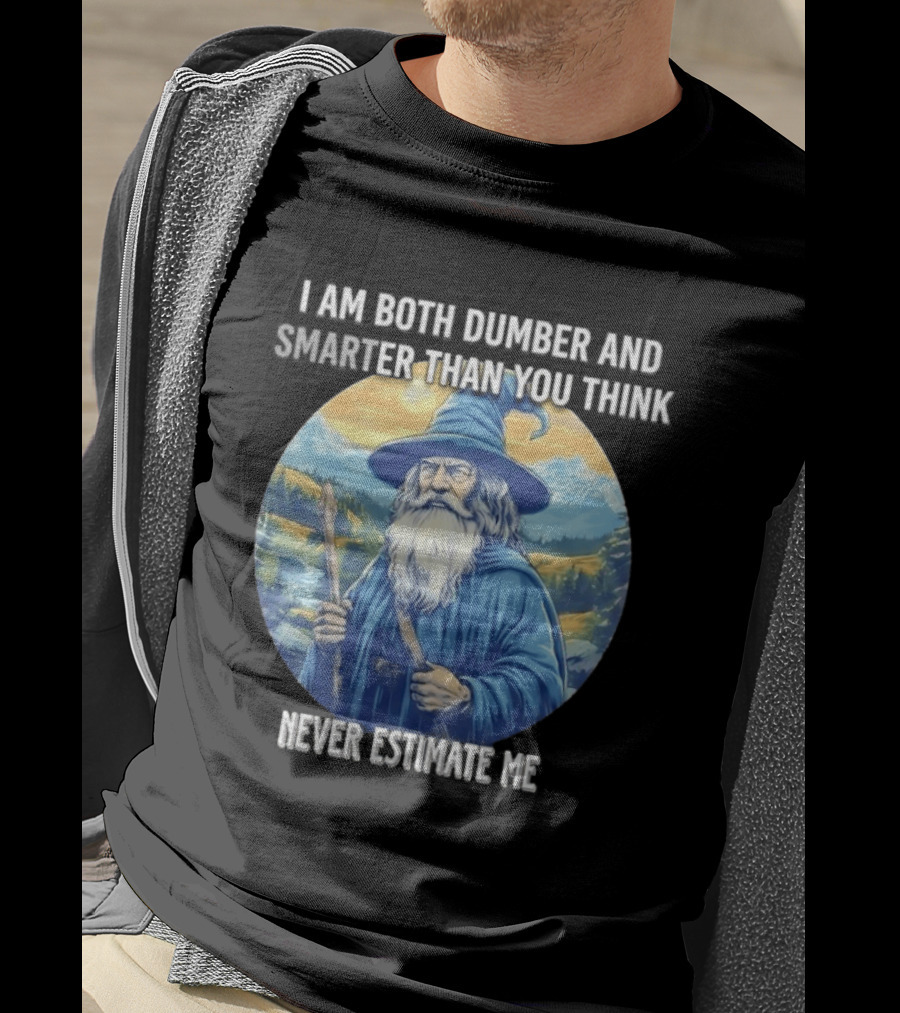 I Am Both Dumber And Smarter Than You Think Never Estimate Me Wizard Blue Robe And Hat Mountain T-Shirt