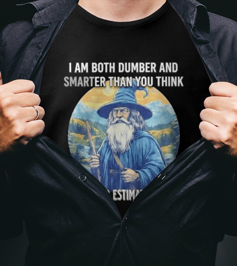 I Am Both Dumber And Smarter Than You Think Never Estimate Me Wizard Blue Robe And Hat Mountain T-Shirt