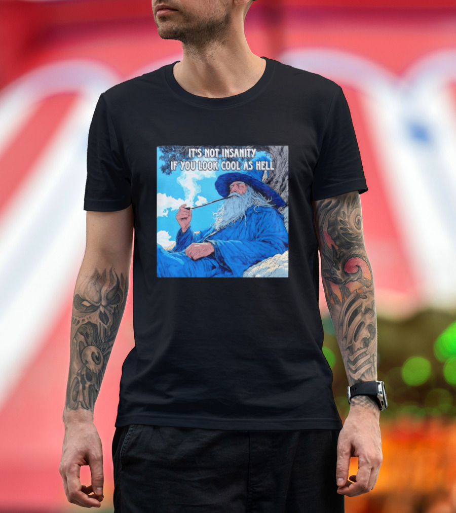 It's Not Insanity If You Look Cool As Hell Wizard Smoking Pipe T-Shirt