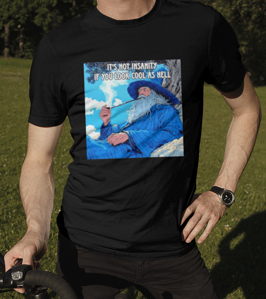 It's Not Insanity If You Look Cool As Hell Wizard Smoking Pipe T-Shirt