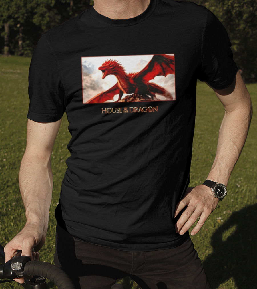 House Of The Dragon Caraxes War Memorial Mountains Scene T-Shirt