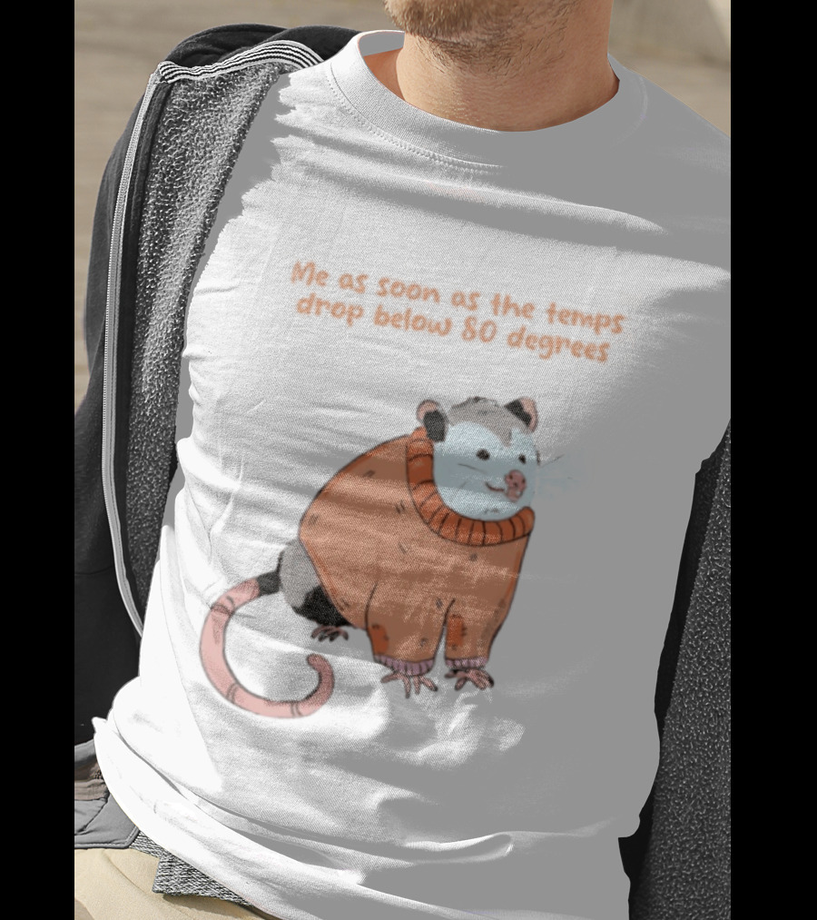 Opossum Cozy Sweater Temps Below 80 Degrees T-Shirt
