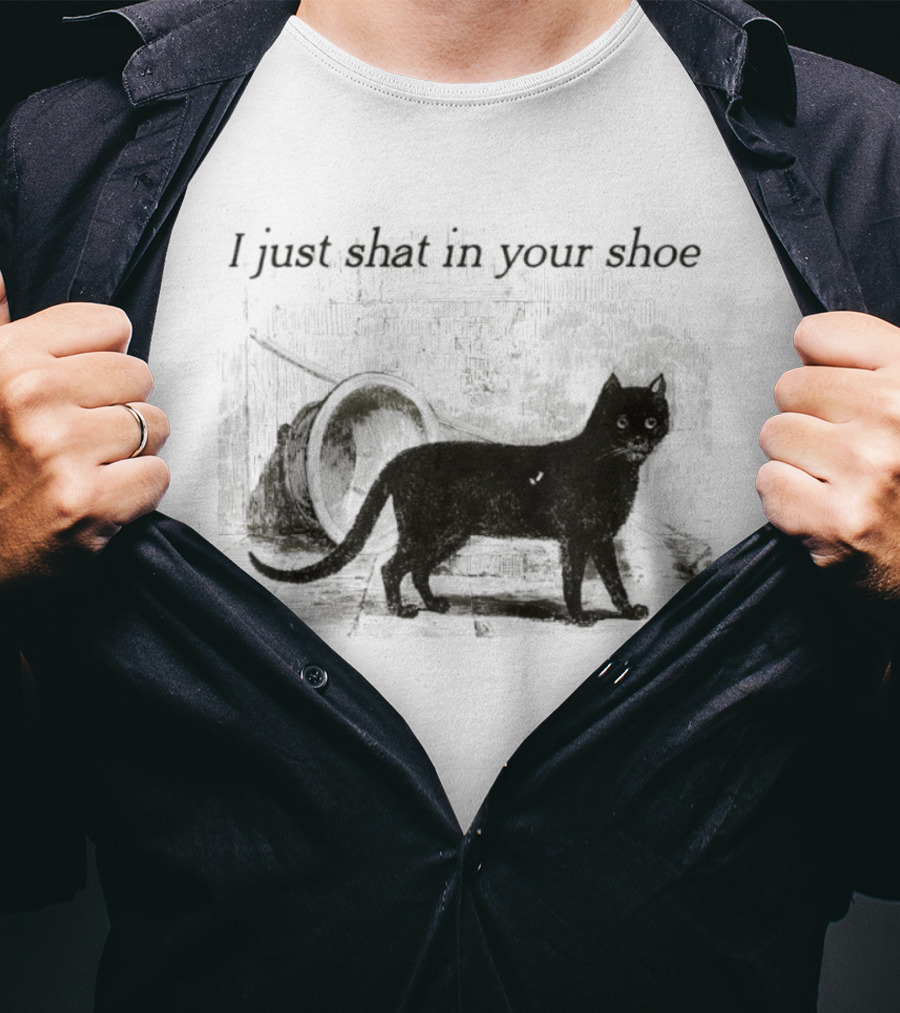 Cat I Just Shat In Your Shoe Silhouette And Litter Box T-Shirt