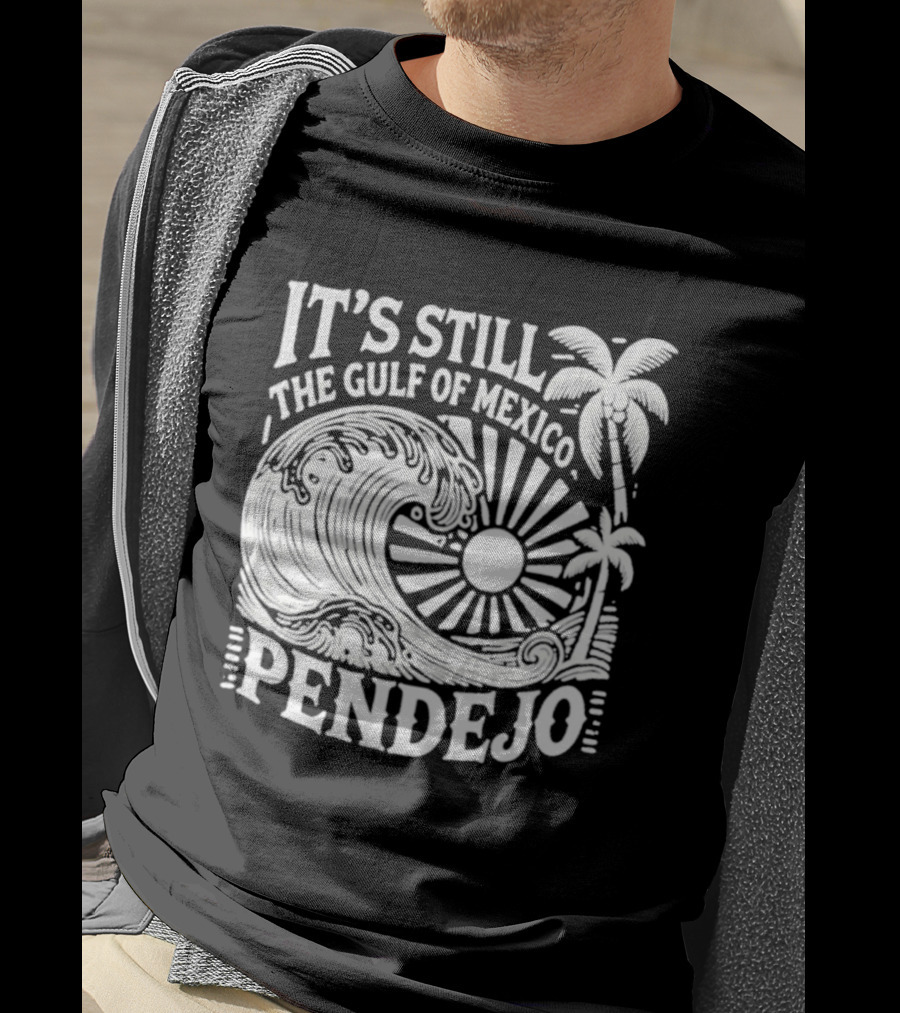 It's Still The Gulf Of Mexico Pendejo Wave Palm Sun T-Shirt