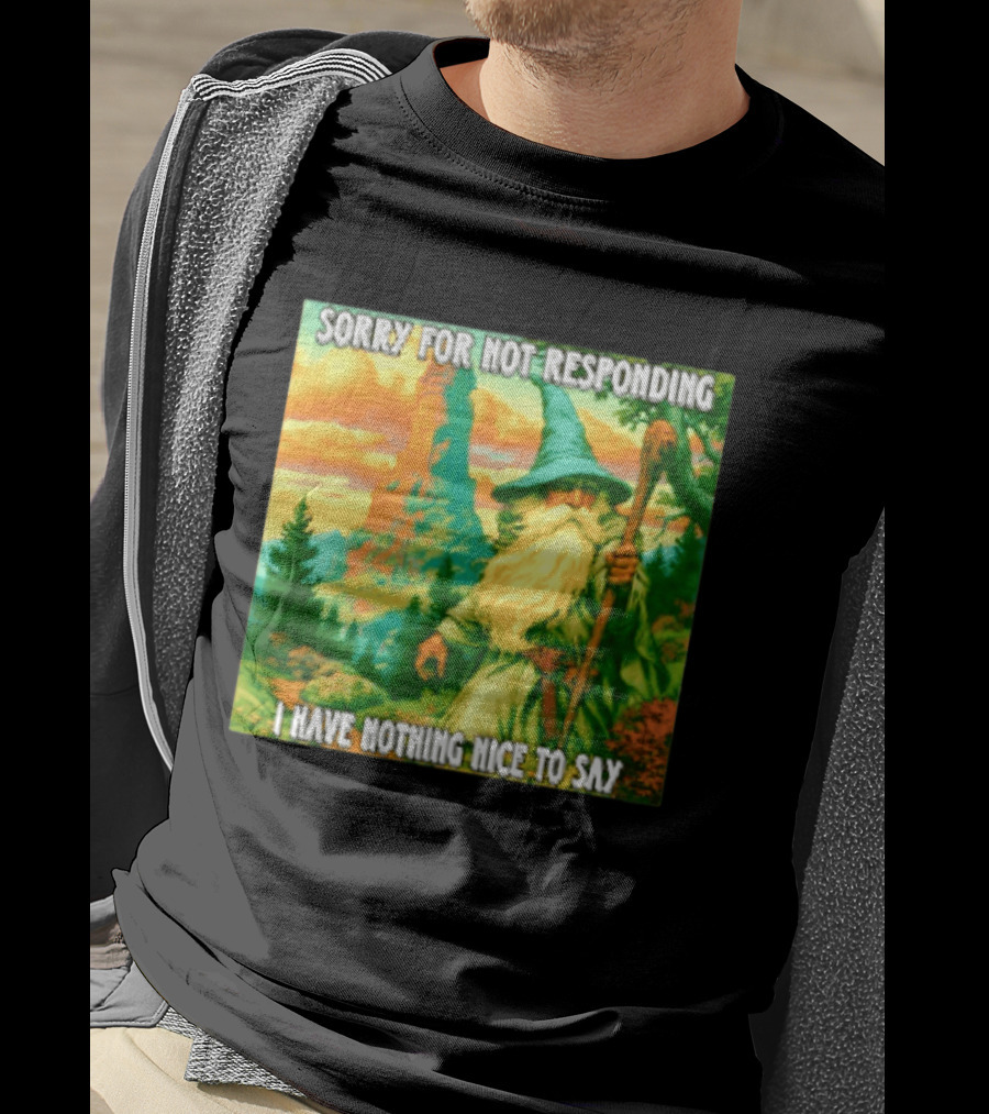 Sorry For Not Responding I Have Nothing Nice To Say Wizard Scene T-Shirt