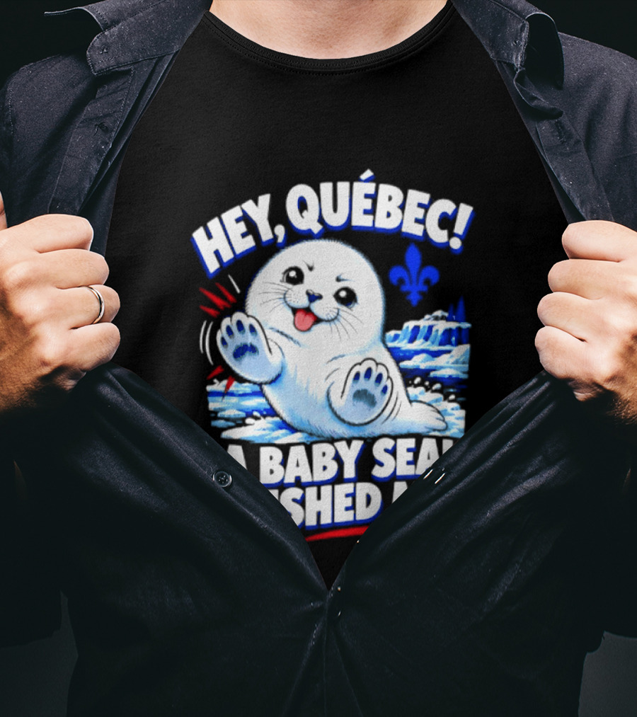 Hey Quebec A Baby Seal Pushed Me Cute Harp Seal Iceberg Splash T-Shirt