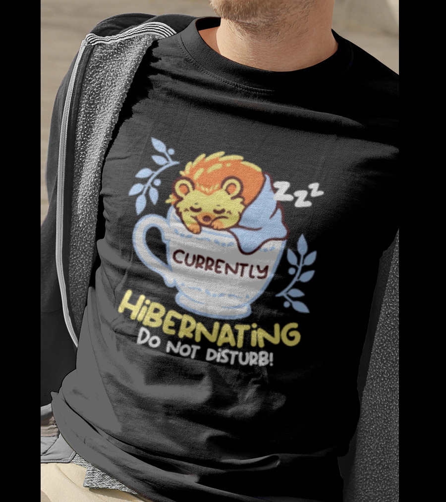 Currently Hibernating Do Not Disturb Hedgehog In Teacup Python T-Shirt