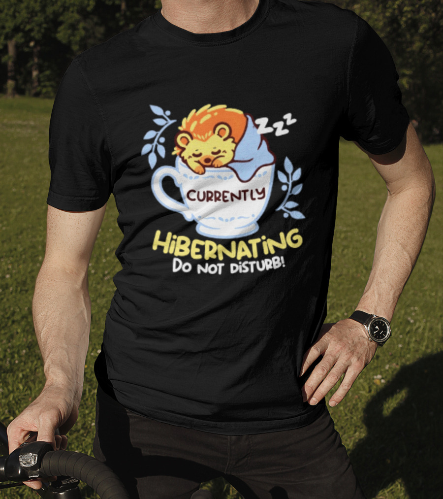 Currently Hibernating Do Not Disturb Hedgehog In Teacup Python T-Shirt