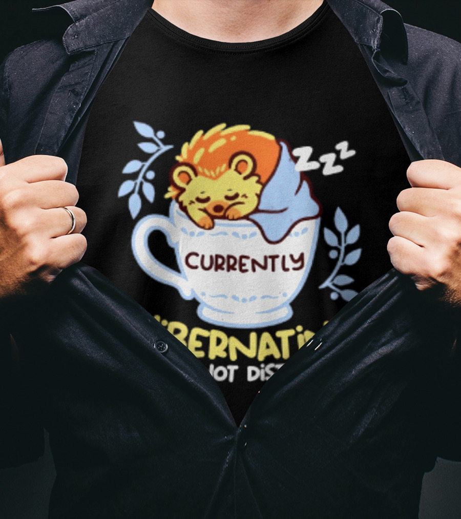 Currently Hibernating Do Not Disturb Hedgehog In Teacup Python T-Shirt