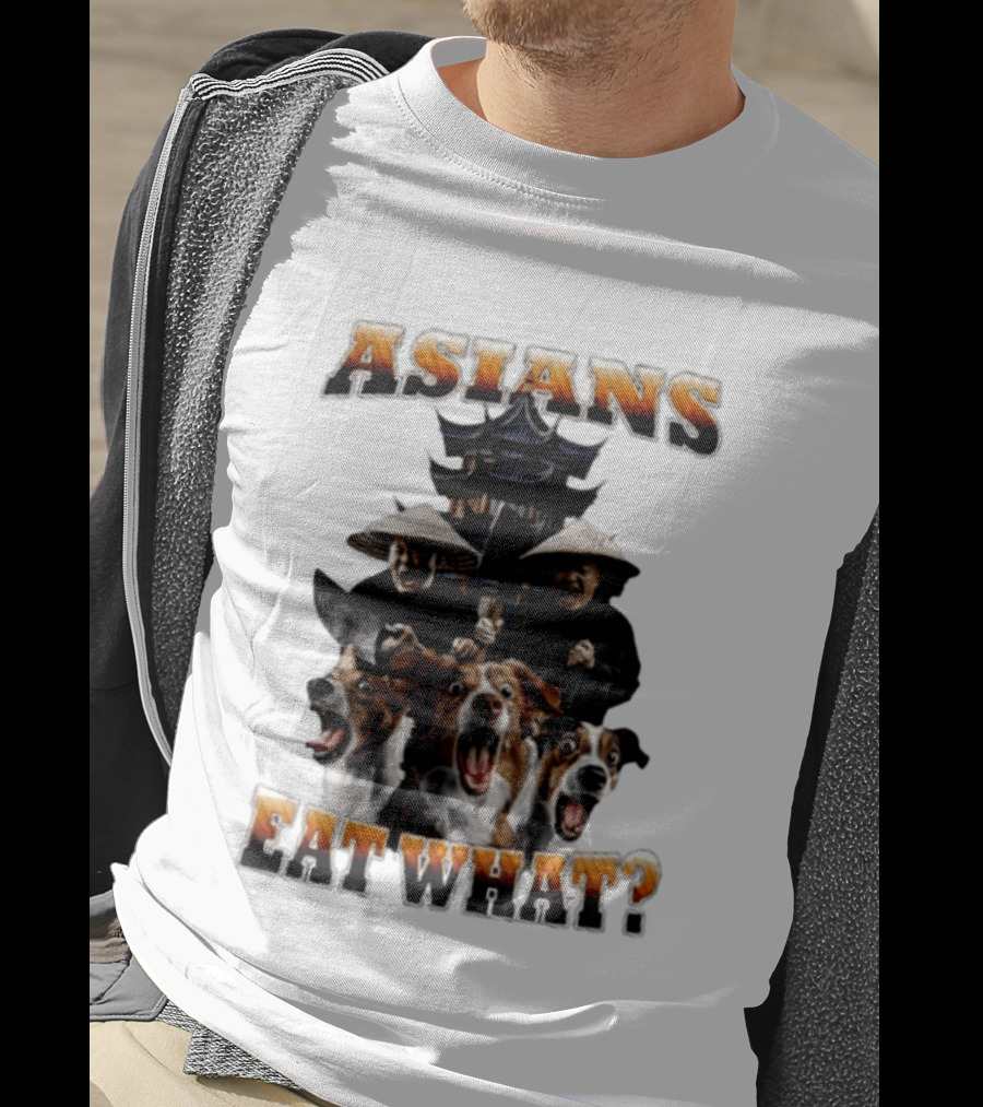 Asians Eat What Pagoda And Dogs Offensive Meme T-Shirt