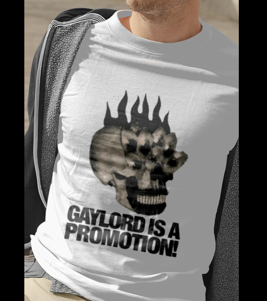Gaylord Is A Promotion Skull Flamed Spikes Sarcastic T-Shirt