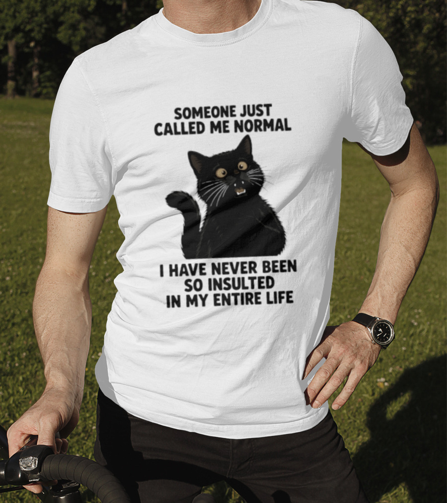 Someone Just Called Me Normal Black Cat Humor Never Been So Insulted In My Entire Life T-Shirt