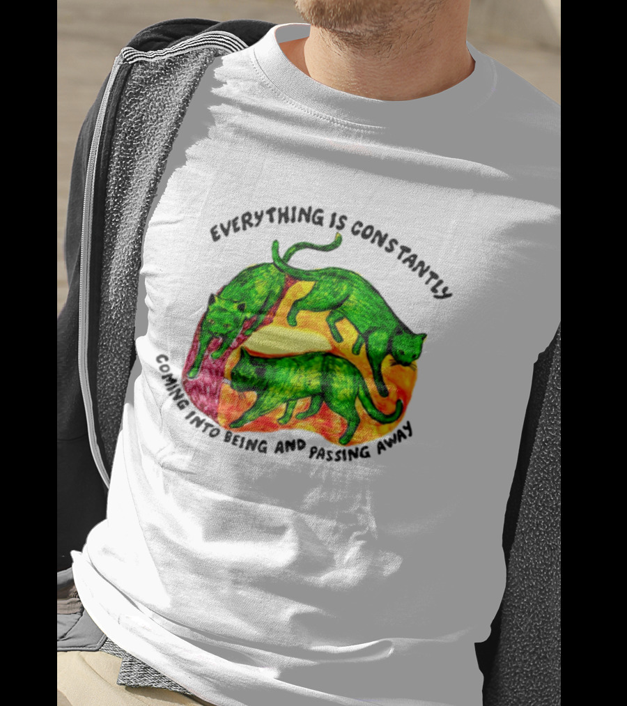 Everything Is Constantly Coming Into Being And Passing Away Cats Trio T-Shirt