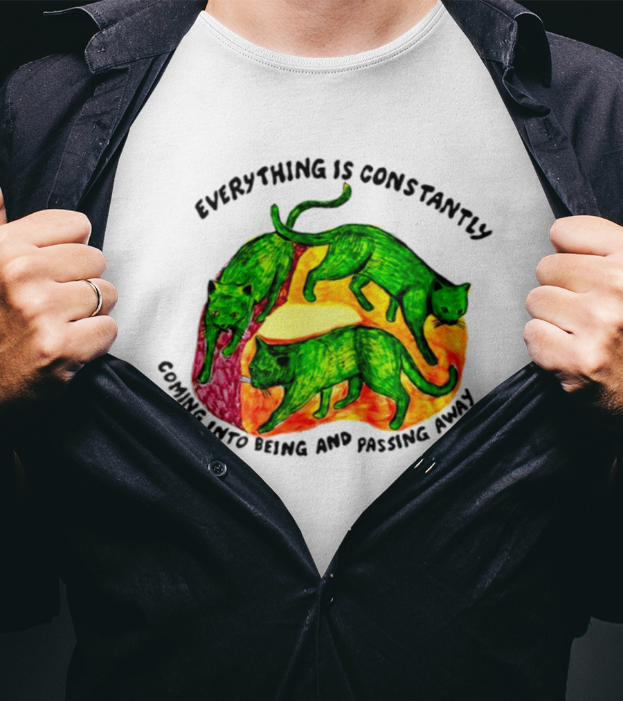 Everything Is Constantly Coming Into Being And Passing Away Cats Trio T-Shirt