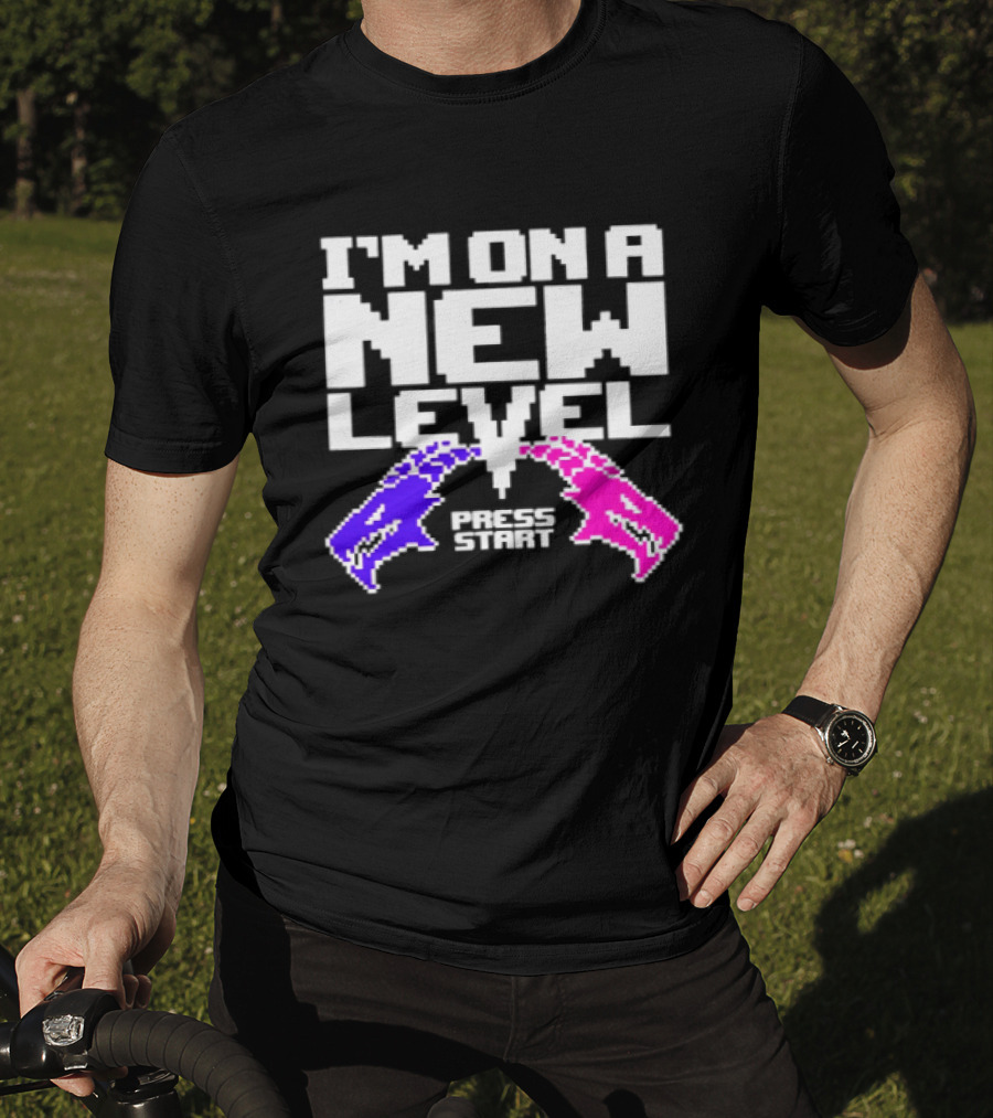 I'm On A New Level Dragons Fight Stuff T-Shirt