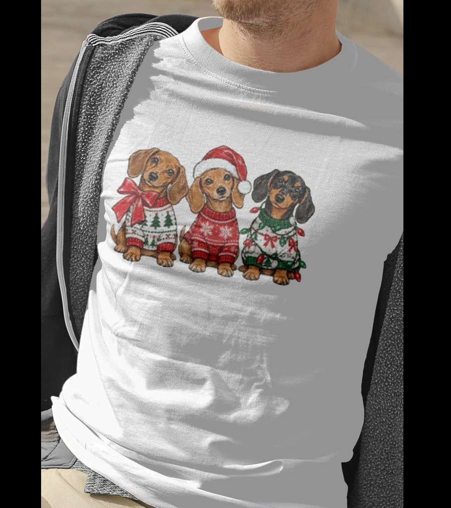 Cozy Christmas Dachshund Trio In Festive Sweaters With Santa Hat T-Shirt