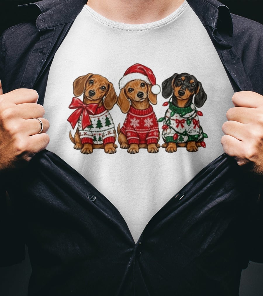 Cozy Christmas Dachshund Trio In Festive Sweaters With Santa Hat T-Shirt