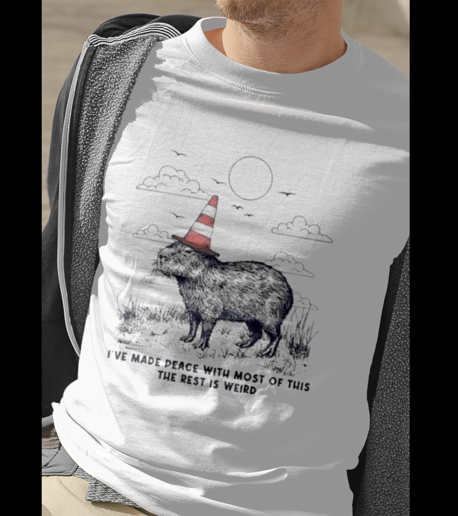 Capybara With Cone Hat Peaceful Yet Weird Scene I've Made Peace With Most Of This T-Shirt