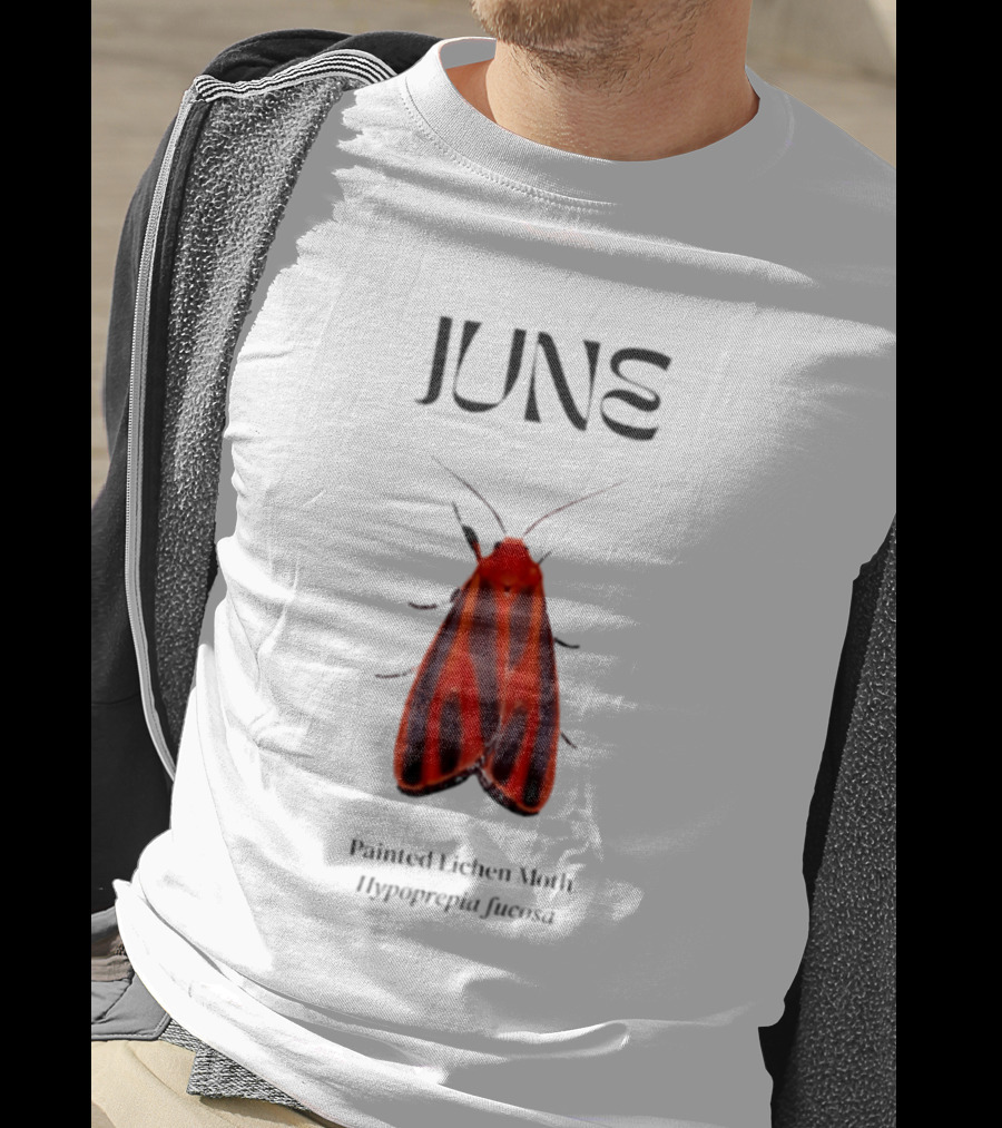 June Hypoprepia Fucosa Painted Lichen Moth T-Shirt